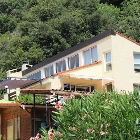 Mas Solar D'En Malcion Vila Amélie-les-Bains-Palalda Exterior foto