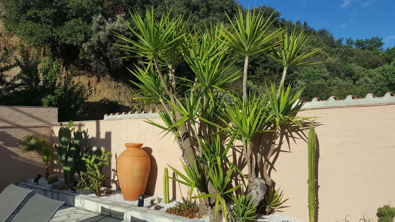 Mas Solar D'En Malcion Vila Amélie-les-Bains-Palalda Exterior foto